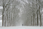 Gravenallee